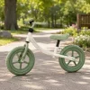 Trike Fix Balance cross-country bike with bell green