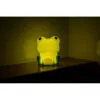 MARY'S LED Frog Night Light