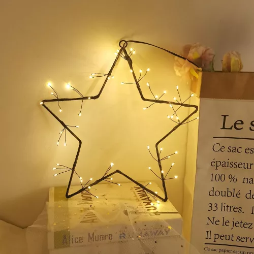 Modee Christmas LED Decoration Battery Operated C4030 (60LED D30cm) warm