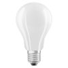 RENDL G13457 OSRAM Led Iso E27 17W 2700K, 2700K, 17 W, 230V