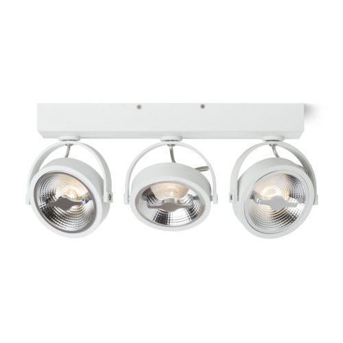 RENDL R12336 KELLY Wall or Ceiling Lamp with Tiltable Reflectors Led Modules, 3000K, 12 W, 230V