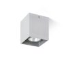 RENDL R12736 AGATE Rectangular Aluminium Ceiling Lamp for Gu10 Bulb, 35 W, 230V