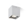 RENDL R12736 AGATE Rectangular Aluminium Ceiling Lamp for Gu10 Bulb, 35 W, 230V