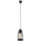 EGLO, 49213, BRADFORD, pendant, E27, 1X60W, IP20, transparent