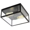 EGLO, 49392, CHARTERHOUSE, ceiling lamp, E27, 2X60W, IP20, transparent