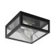 EGLO, 94832, ALAMONTE 1, ceiling lamp, E27, 2X28W, IP44, transparent