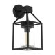 EGLO , 97296 , TRECATE , pendant lamp , E27 , 1X60W , IP44 , transparent