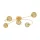 EGLO , 97726 , CARIS 1 , ceiling lamp , G9 , 5X3W , IP20 , gold