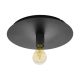 EGLO, 98155, PASSANO 1, ceiling lamp, E27, 1X60W, IP20