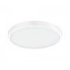 EGLO, 98292, FUEVA-A, outdoor lamp, 2700 K 6500 K, LED, 14W, Dimmable, IP20, white