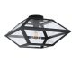 EGLO, 98356, CASEFABRE, ceiling lamp, E27, 1X60W, IP20, transparent