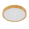 EGLO, 98601, MUSURITA, ceiling lamp, 3000 K, LED, 14.6W, IP20, white