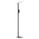 EGLO , 99113 , BUDENSEA , floor lamp , GU10 , 2X4.5W , IP20