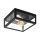 EGLO, 99122, AMEZOLA, ceiling lamp, E27, 2X28W, IP44, transparent
