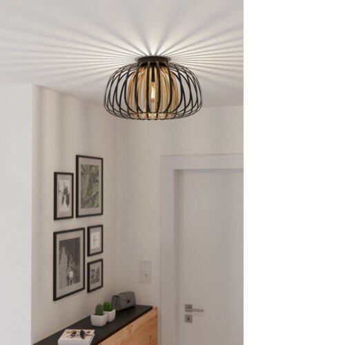 EGLO, 99664, ENCINITOS, ceiling lamp, E27, 1X40W, IP20