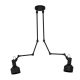 EGLO, 43562, TAKELEY, ceiling lamp, E27, 2X28W, IP20