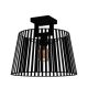 EGLO, 390001, BOGOTA, ceiling lamp, E27, 1X40W, IP20