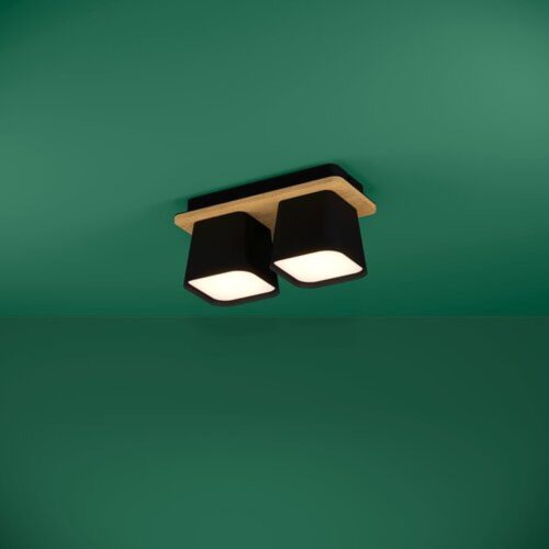 EGLO, 390007, RUSCIO, ceiling lamp, E27, 2X40W, IP20, black, white