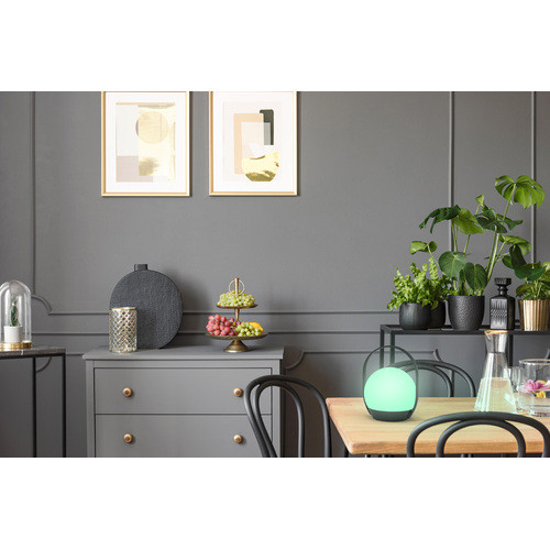 Cardi-Bluetooth connected portable lamp-whites & colors(2700-6500K+RGB)-Black