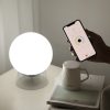 GLOBE-Bluetooth connected portable lamp-whites & colors(2700-6500K+RGB)-Black