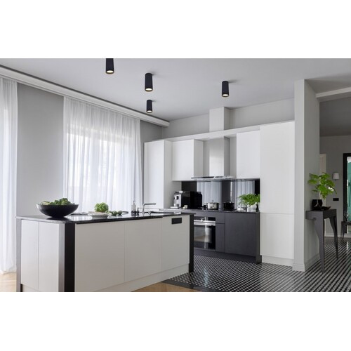 Stag-Bluetooth connected ceiling spot lamp 54mm-whites & colors(2700-6500K+RGB)-Black