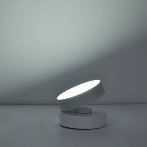 STANOS-Bluetooth connected ceiling spot lamp 100mm-CCT Whites (2700-6500K)-White