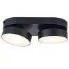 STANOS-Bluetooth connected ceiling spot lamp 220mm-2heads-CCT Whites (2700-6500K)-Black