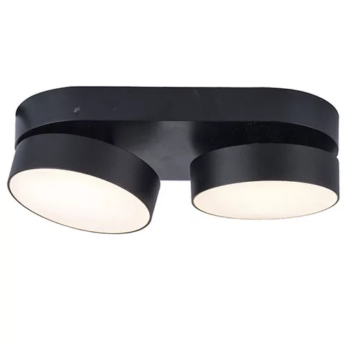 STANOS-Bluetooth connected ceiling spot lamp 220mm-2heads-CCT Whites (2700-6500K)-Black