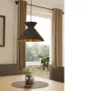 EGLO, 900347, NASTASIA, pendant light, E27, 1X40W, IP20, cappuccino, copper