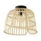 EGLO, 43872, GLYNEATH, ceiling lamp, E27, 1X40W, IP20, natural