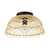 EGLO, 43831, AUSNBY, ceiling lamp, E27, 1X40W, IP20, natural