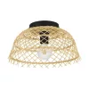 EGLO, 43831, AUSNBY, ceiling lamp, E27, 1X40W, IP20, natural