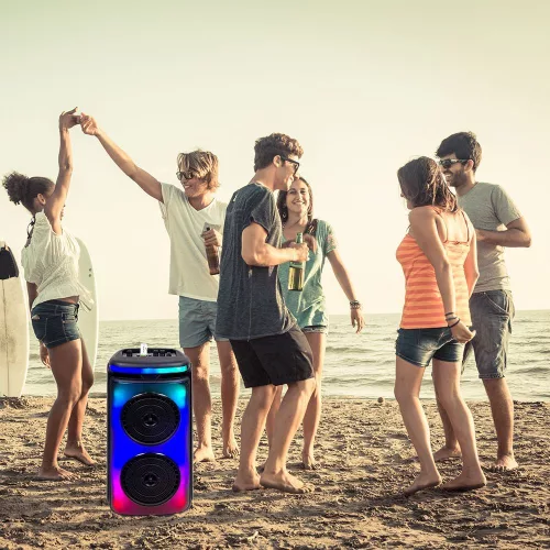 VT-4000W 400W Rechargeable Speaker 1 Wired Microphone Rf Control & Handle 2X6.5Inch