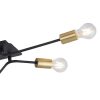 Rábalux , 2103 , Lanny , Ceiling lights , black , IP20 , E27