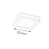 Rábalux , 2667 , Lois , Recessed and surface mounted lighting , satin chrome , IP20 , 3000
