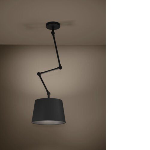 EGLO, 390112, PISTUNIO, ceiling lamp, E27, 1X40W, IP20, black