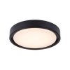 Rábalux , 3283 , Foster , Ceiling lights , black , IP20 , 2700-5000