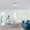 Rábalux , 3308 , Otilia , Ceiling lights , cream , IP20 , 3000