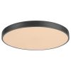 Rábalux , 3314 , Tesia , Ceiling lights , matte black , IP20 , 3000