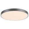 Rábalux , 3317 , Tesia , Ceiling lights , silver , IP20 , 3000-6000