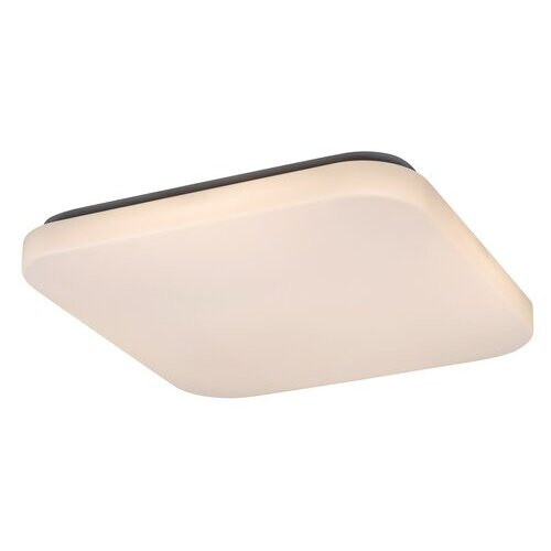 Rábalux , 3344 , Rob , Ceiling lights , white , IP20 , 3000