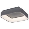 Rábalux , 3926 , Adeline , Ceiling lights , grey , IP20 , 3000-6000