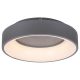 Rábalux , 3928 , Adeline , Ceiling lights , grey , IP20 , 3000-6000