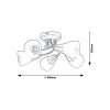 Rábalux , 5691 , Connor , Ceiling lights , satin chrome , IP20 , E14
