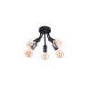 Rábalux , 6809 , Almus , Ceiling lights , black , IP20 , E27