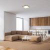 Rábalux , 6907 , Almond , Ceiling lights , beech , IP20 , 4000