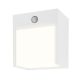 Rábalux , 7479 , Balimo , Outdoor wall lights , matte white , IP44 , 4000