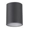 Rábalux , 7819 , Zombor , Outdoor ceiling lights , anthracite , IP54 , GU10
