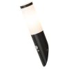 Rábalux , 8146 , Black torch , Outdoor wall lights , matte black , IP44 , E27