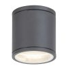 Rábalux , 8150 , Akron , Outdoor ceiling lights , anthracite , IP54 , GU10